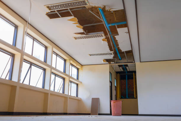 Best Sewage cleanup and water damage restoration  in Sturgis, MI