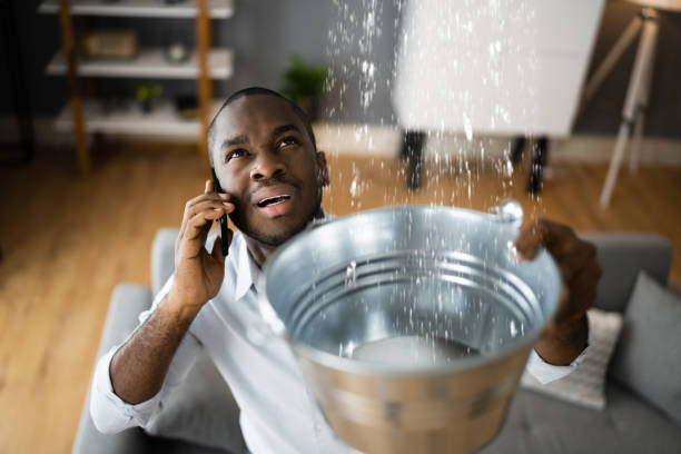 Best Water damage restoration insurance claims  in Sturgis, MI