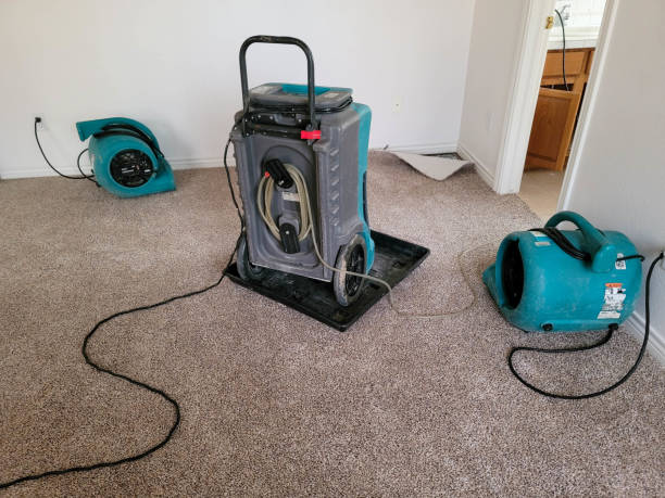 Best Basement water damage restoration  in Sturgis, MI