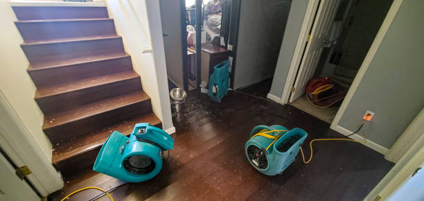 Best Flooded house restoration  in Sturgis, MI