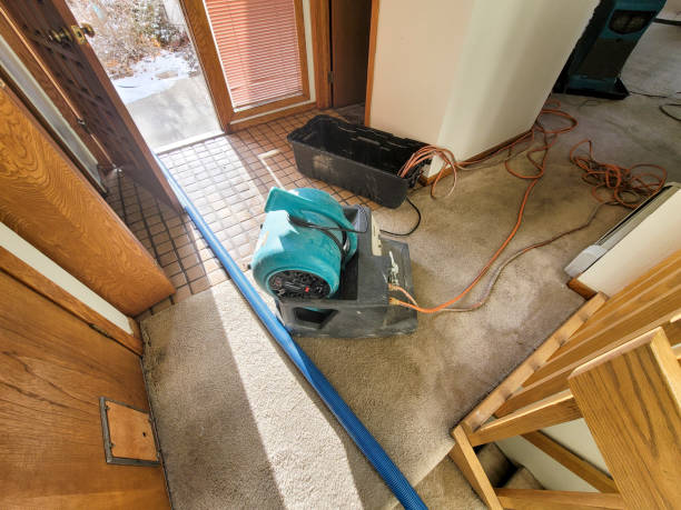 Best Flooded house restoration  in Sturgis, MI