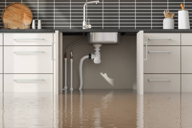 Best Water damage restoration near me  in Sturgis, MI